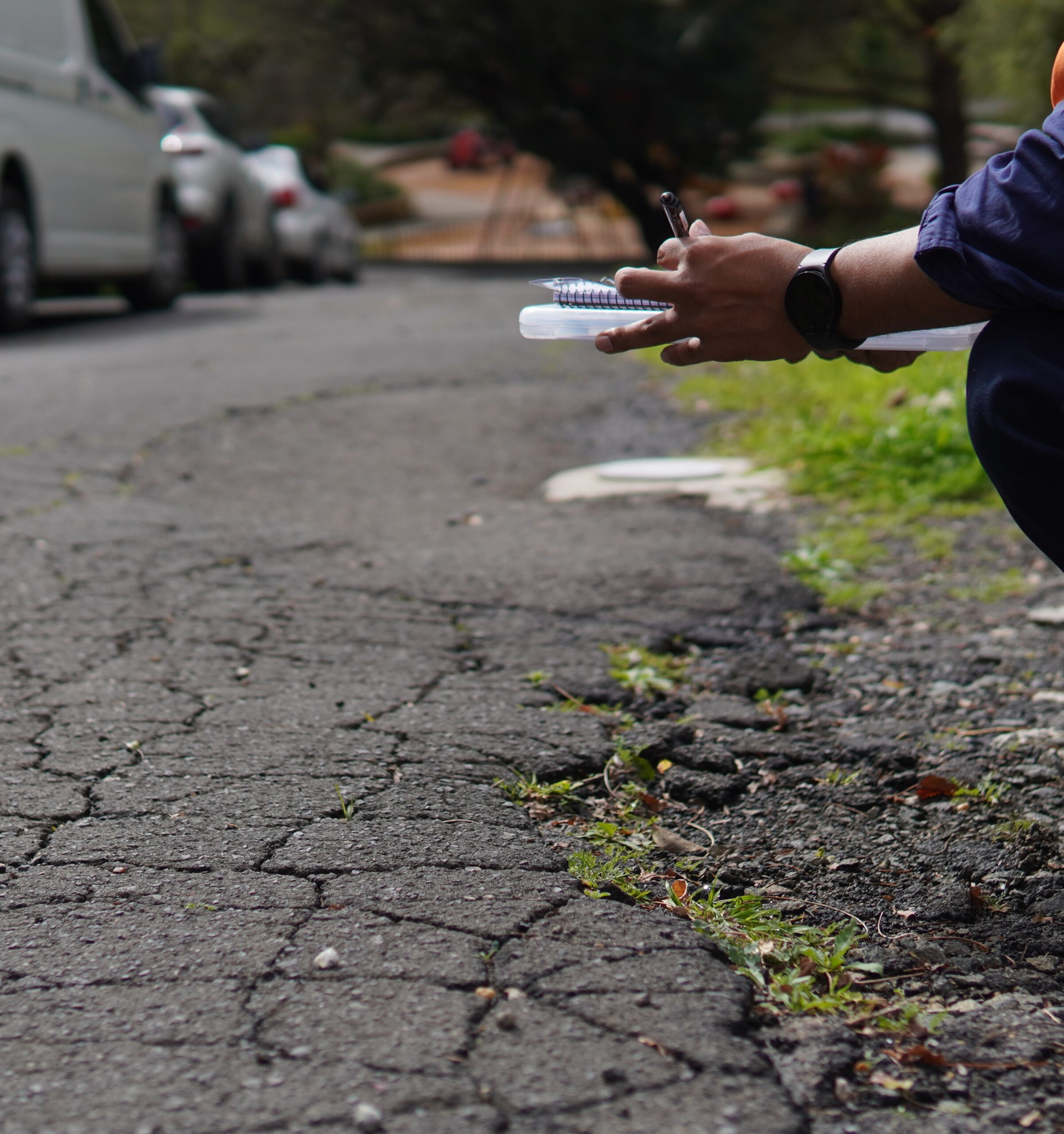 Niro – External 9 copy